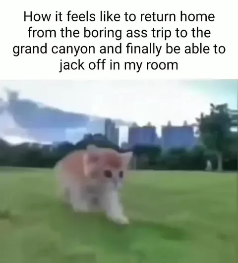 Cat Runs Home to Masturbate