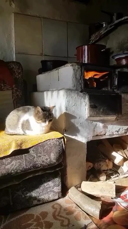 Кот греется у печки