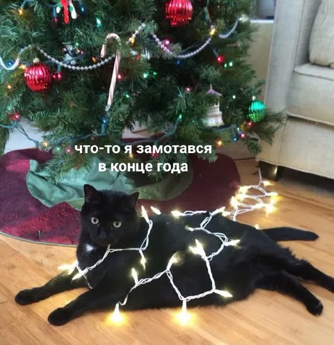 Замотался в конце года