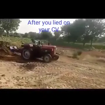 After You Lied on Your CV