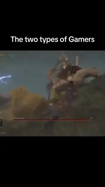 The Two Types of Gamers