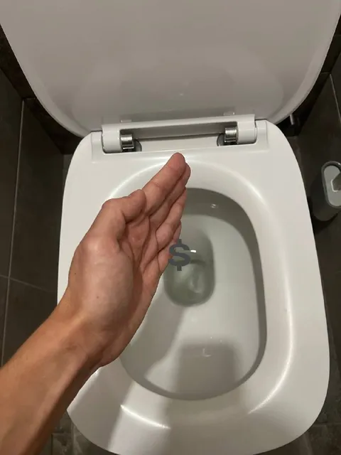 Деньги в унитазе