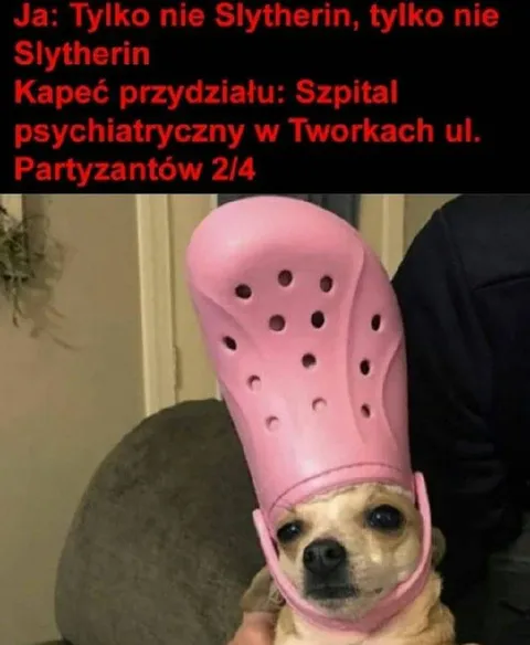 Tylko nie Slytherin