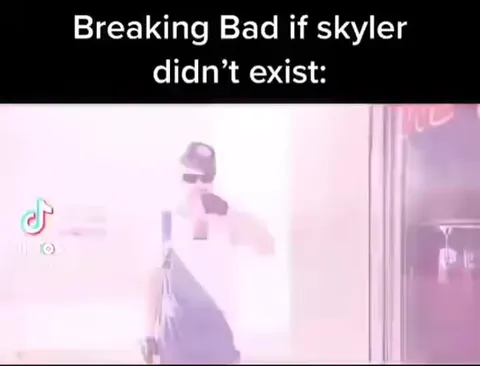 Breaking Bad Without Skyler