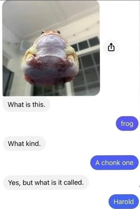 What Is This Frog Called?