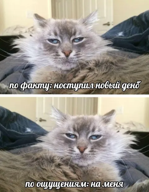 Новый день навалился на меня