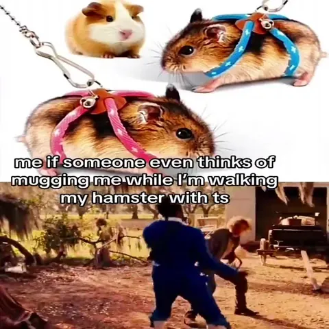Protecting My Hamster From Muggers