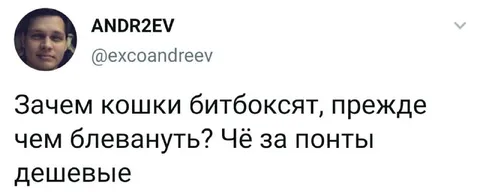 Кошки бьют боксеров