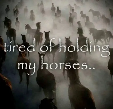 Tired of Holding My Horses