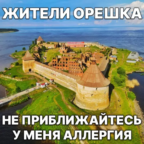 Жители Орешка: аллергия