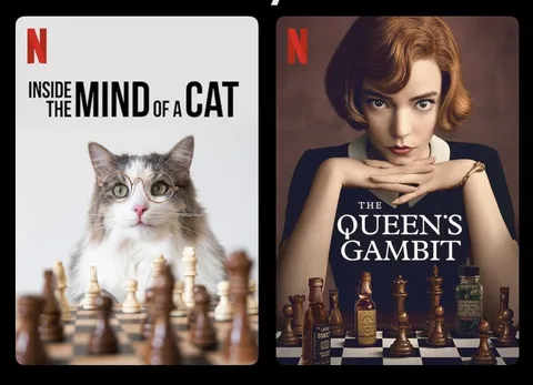 Inside the Mind of a Cat