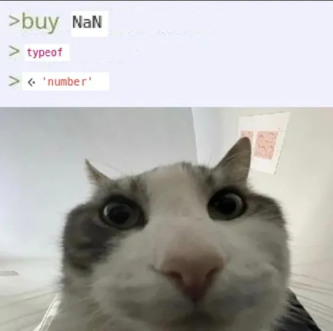 Cat Stares at NaN