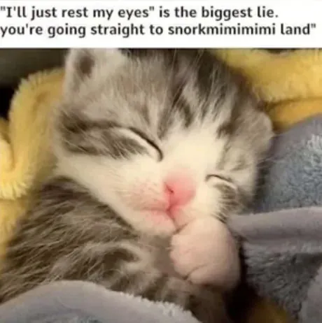 Just Rest My Eyes