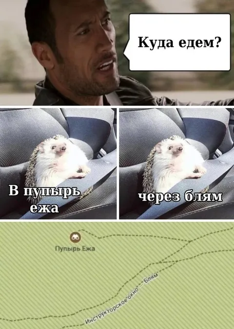 Куда едем через пупырь ежа