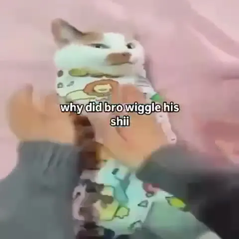 Why Did Bro Wiggle His Shii