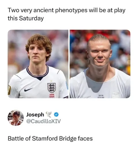 Battle of Stamford Bridge Faces