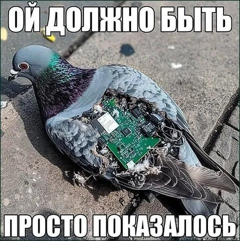 Птица с платой внутри