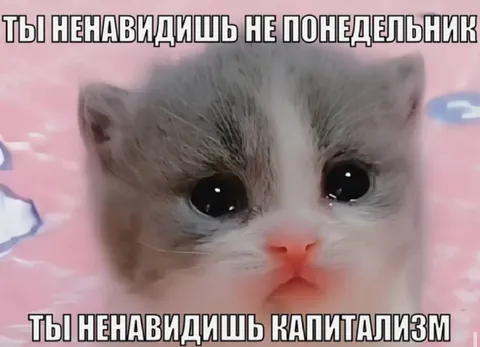 Ты ненавидишь капитализм