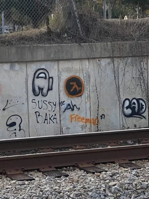 Sussy Baka Graffiti by the Tracks