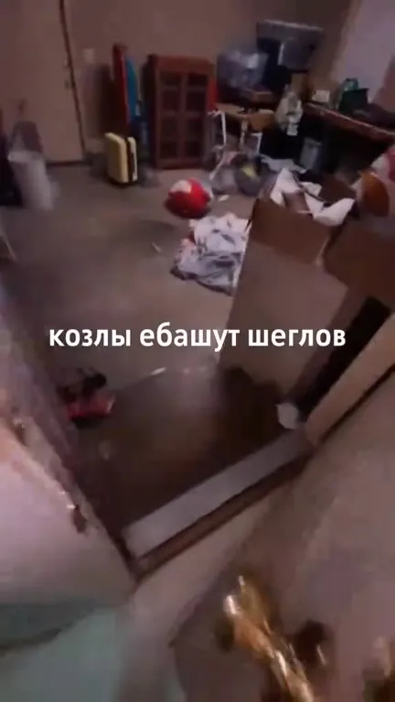 Козлы ебашут шеглов