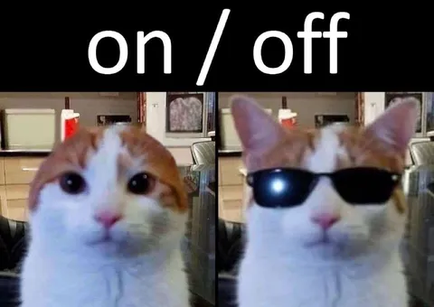 Cat On and Off