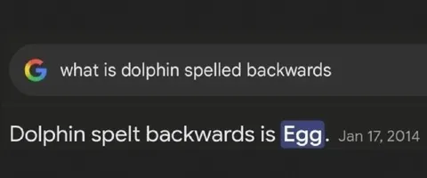 Dolphin Spelled Backwards