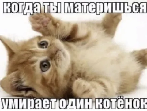 Когда ты материшься