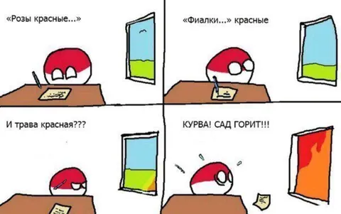 Польша перепутала цвета флага