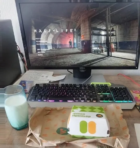Чикен Премьер и Half-Life 2