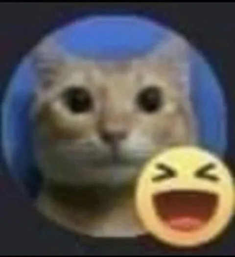 Кот с смеющимся эмодзи