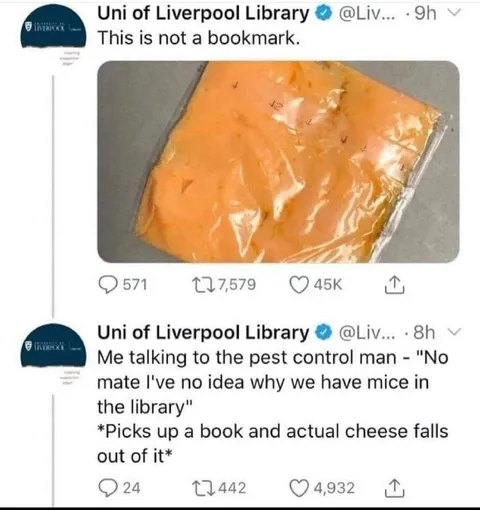 Library Book Full of Cheese