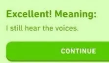 Excellent Meaning I Hear Voices