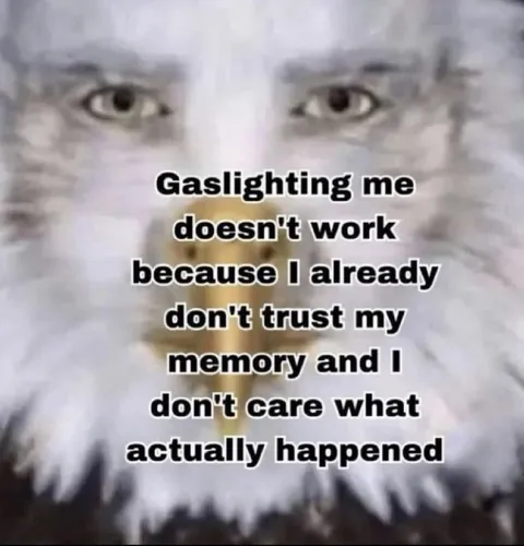 Gaslighting Does Not Work