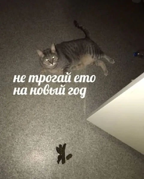 Не трогай это на Новый год