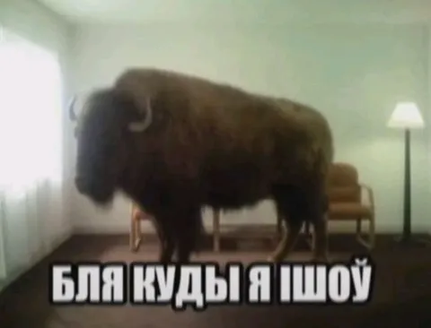 Бля, куды я шоў
