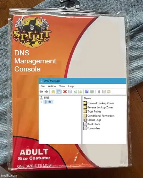 DNS Management Costume
