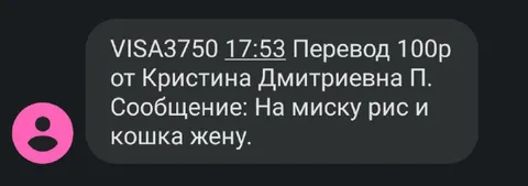 Перевод на миску риса