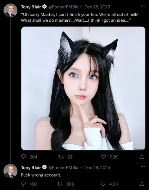 Fuck Wrong Account Catgirl