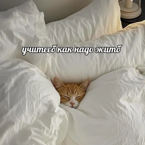 Учитесь как надо жить