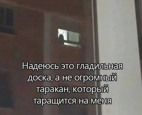 Огромный таракан за окном
