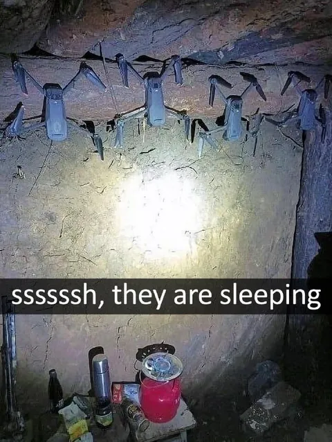 Ssssssh, They Are Sleeping