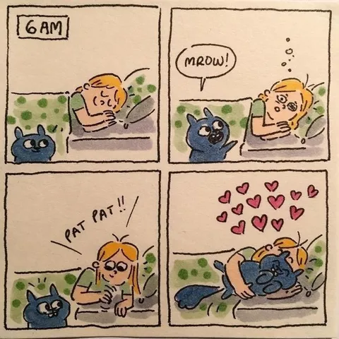 Cat Wakes Her Up for Cuddles