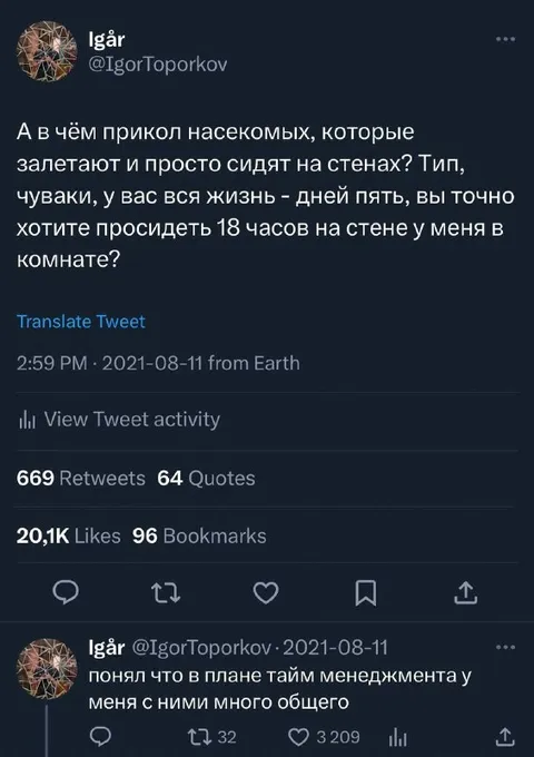 Насекомые и тайм-менеджмент