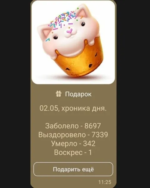 Хроника дня с воскресшим котом