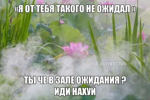 Лотос с неожиданной реакцией