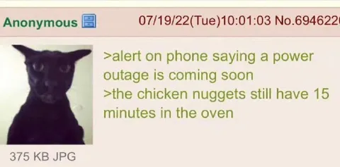 Chicken Nuggets Before Power Outage