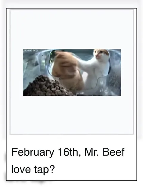 Mr. Beef Love Tap