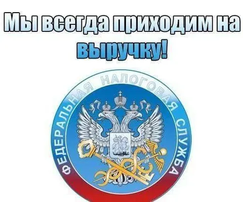 Налоговая всегда приходит на выручку