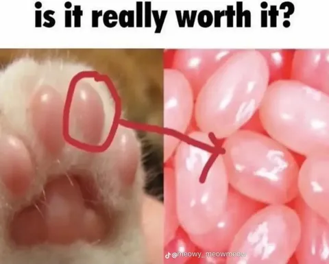 Is It Really Worth It?