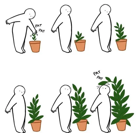 Pat Pat Plant Growth